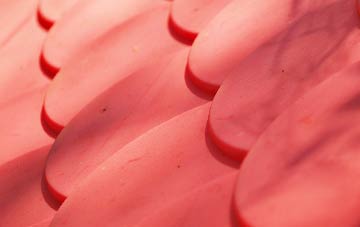 Higher Burrow plastic roof costs