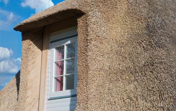 Higher Burrow thatch roof disadvantages
